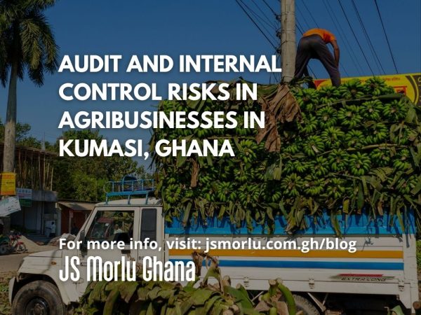 Audit and Internal Control Risks in Agribusinesses in Kumasi, Ghana