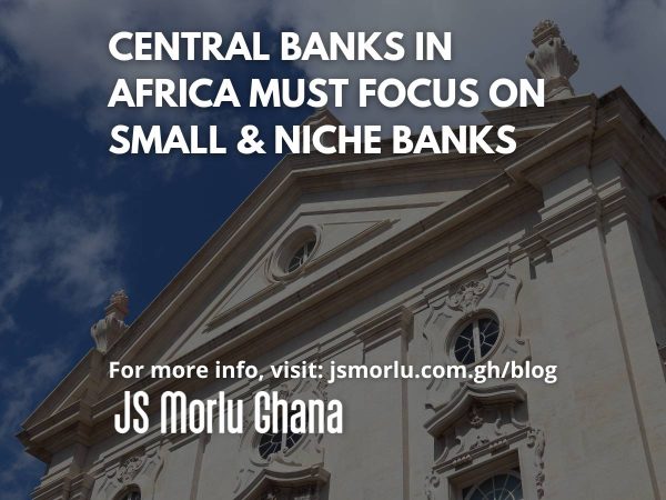 Central Banks in Africa must focus on small & niche banks
