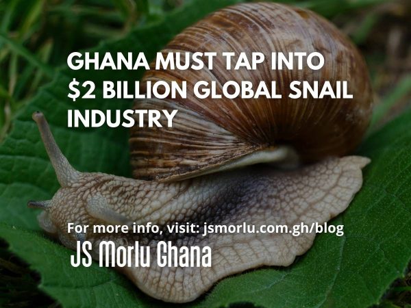 Ghana must tap into $2 billion global snail industry