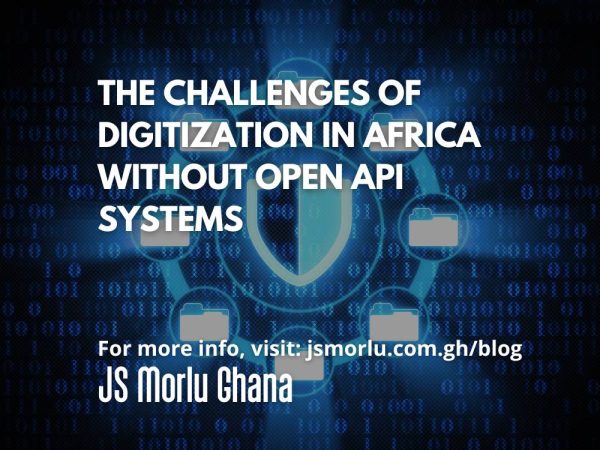 The Challenges of Digitization in Africa Without Open API Systems